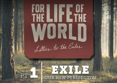 Part 1: Exile – Our New Perspective
