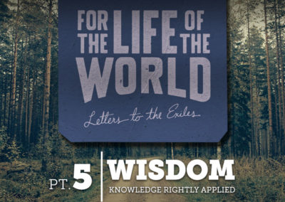 Part 5: Wisdom – Knowledge Rightly Applied