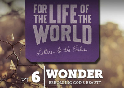 Part 6: Wonder – Beholding God’s Beauty