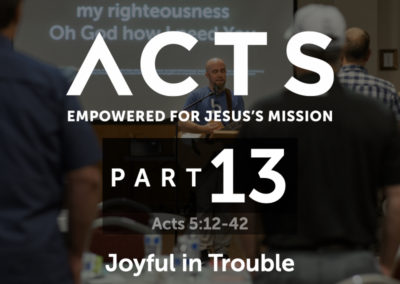 Part 13: Joyful in Trouble