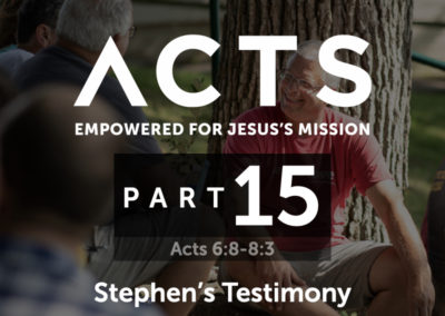 Part 15: Stephen’s Testimony